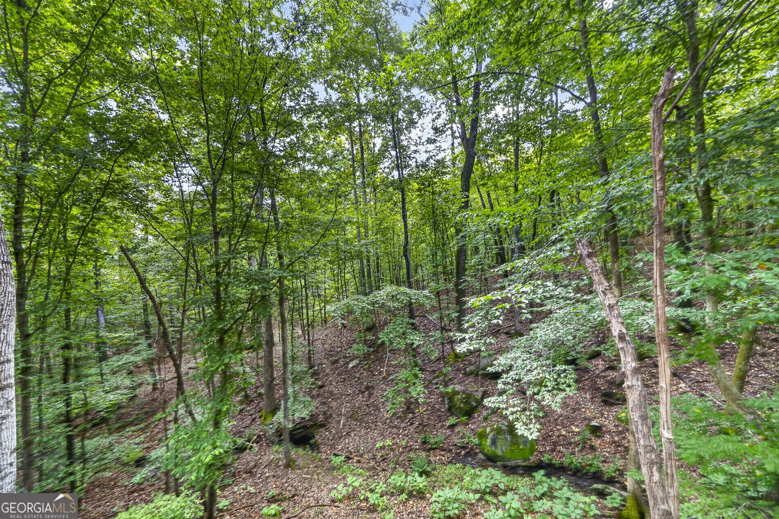 224 Covey Road Milledgeville - Photo 6