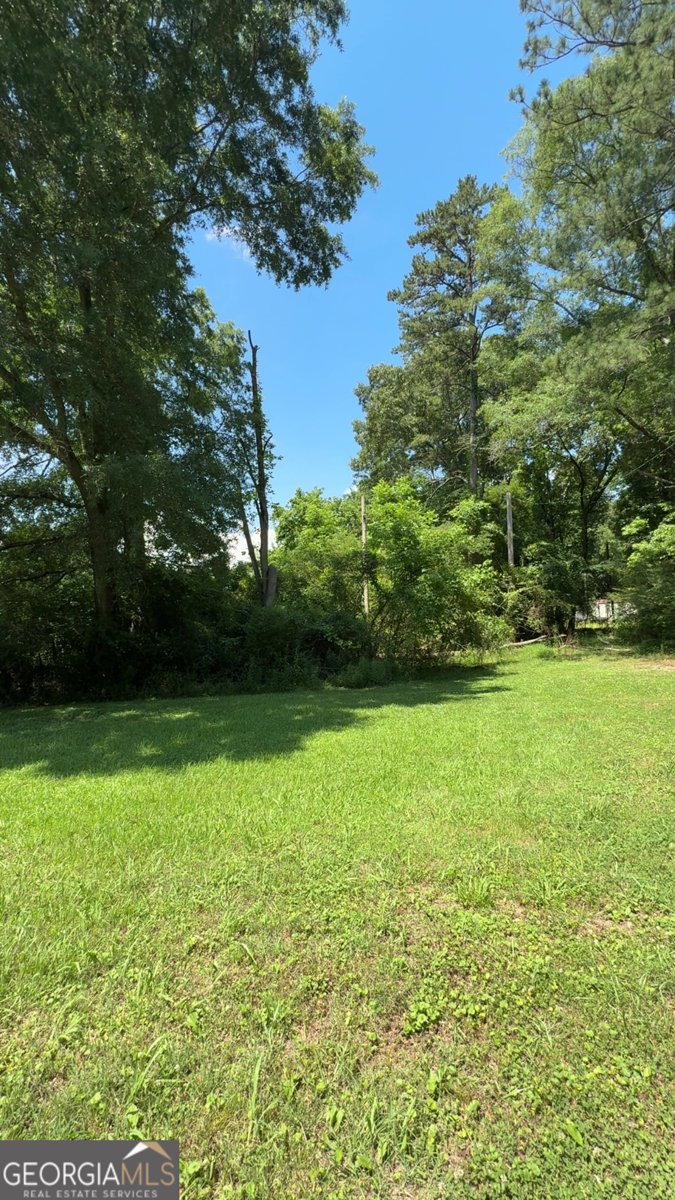 2169 Silver Hill Road Summerville - Photo 10