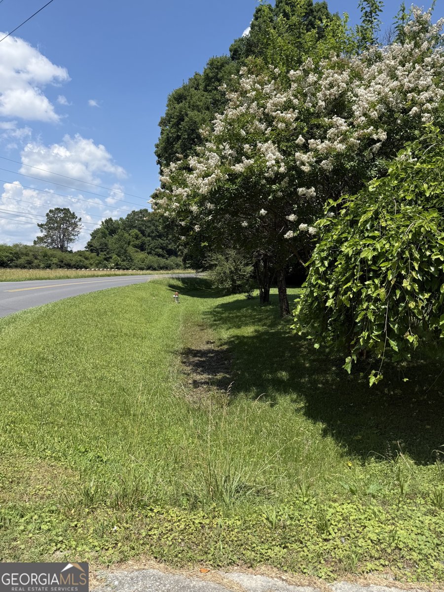 2169 Silver Hill Road Summerville - Photo 8