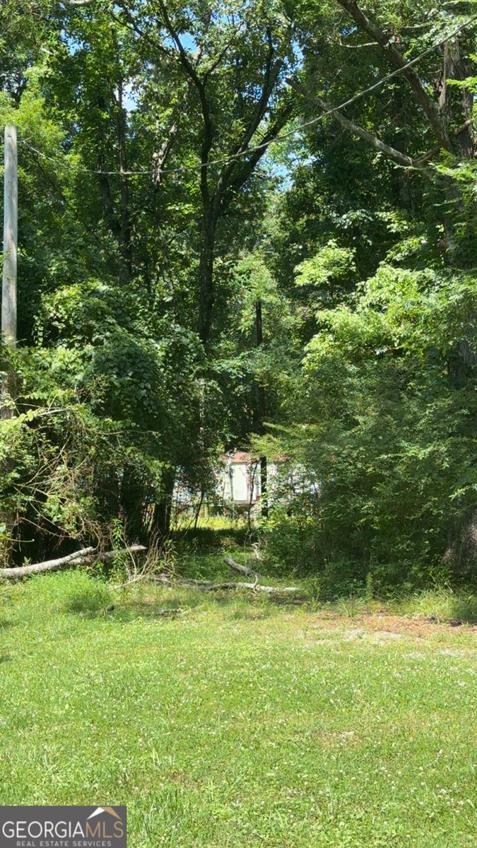 2169 Silver Hill Road Summerville - Photo 9