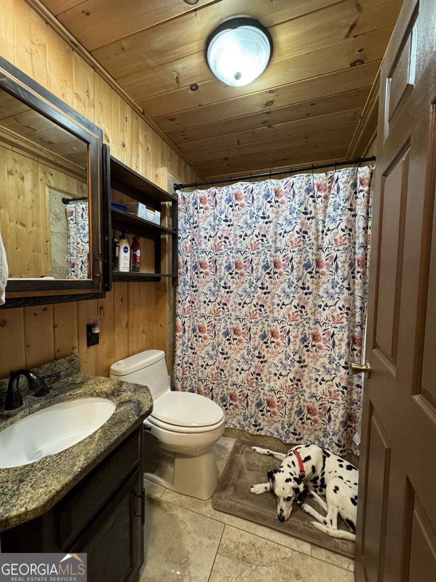 113 Biddy Mtn Lane Tiger - Photo 26