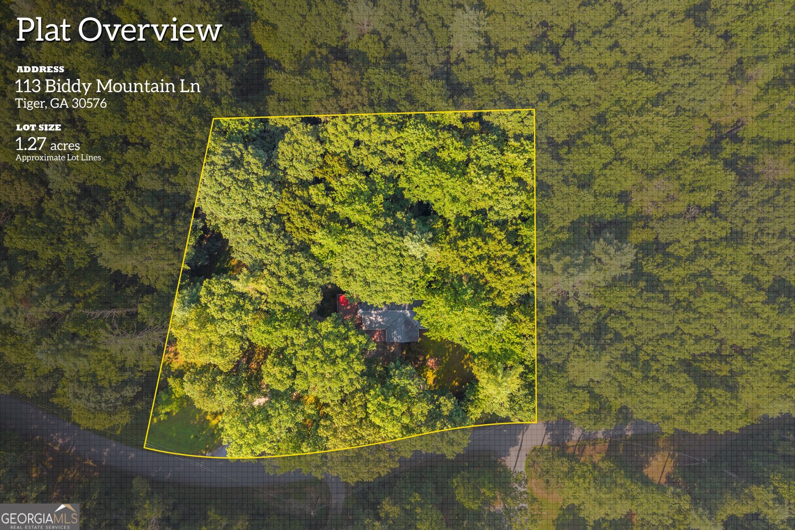 113 Biddy Mtn Lane Tiger - Photo 57