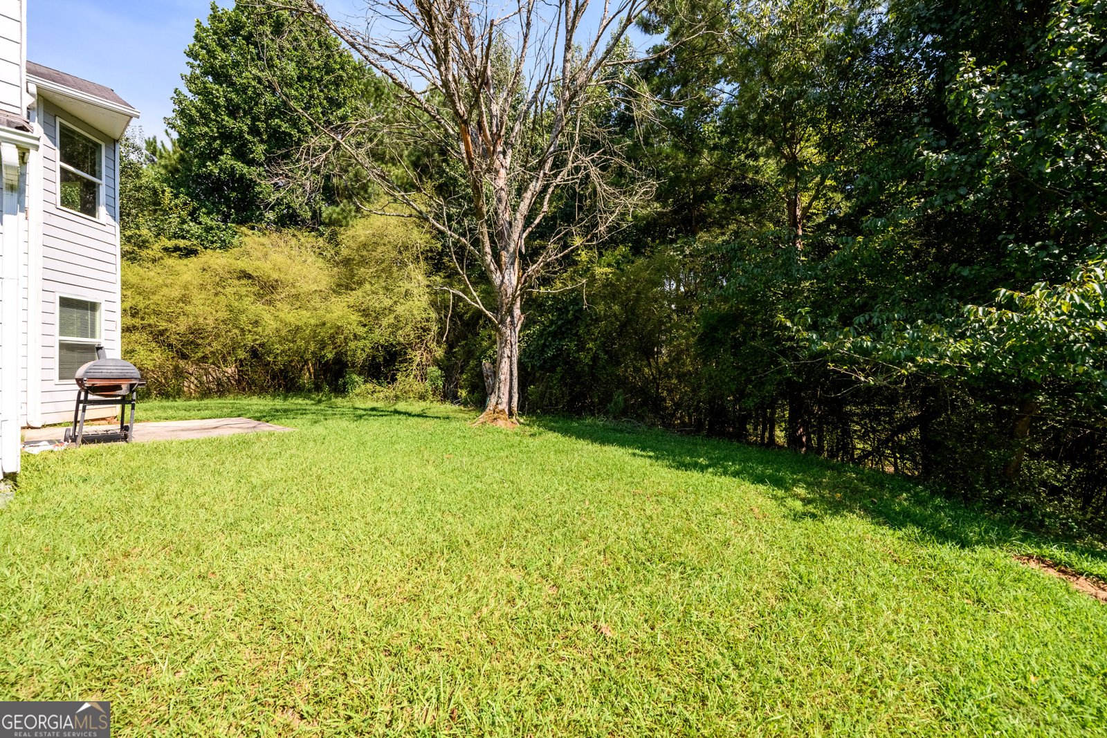 6550 Browns Mill Ferry Drive Lithonia - Photo 26