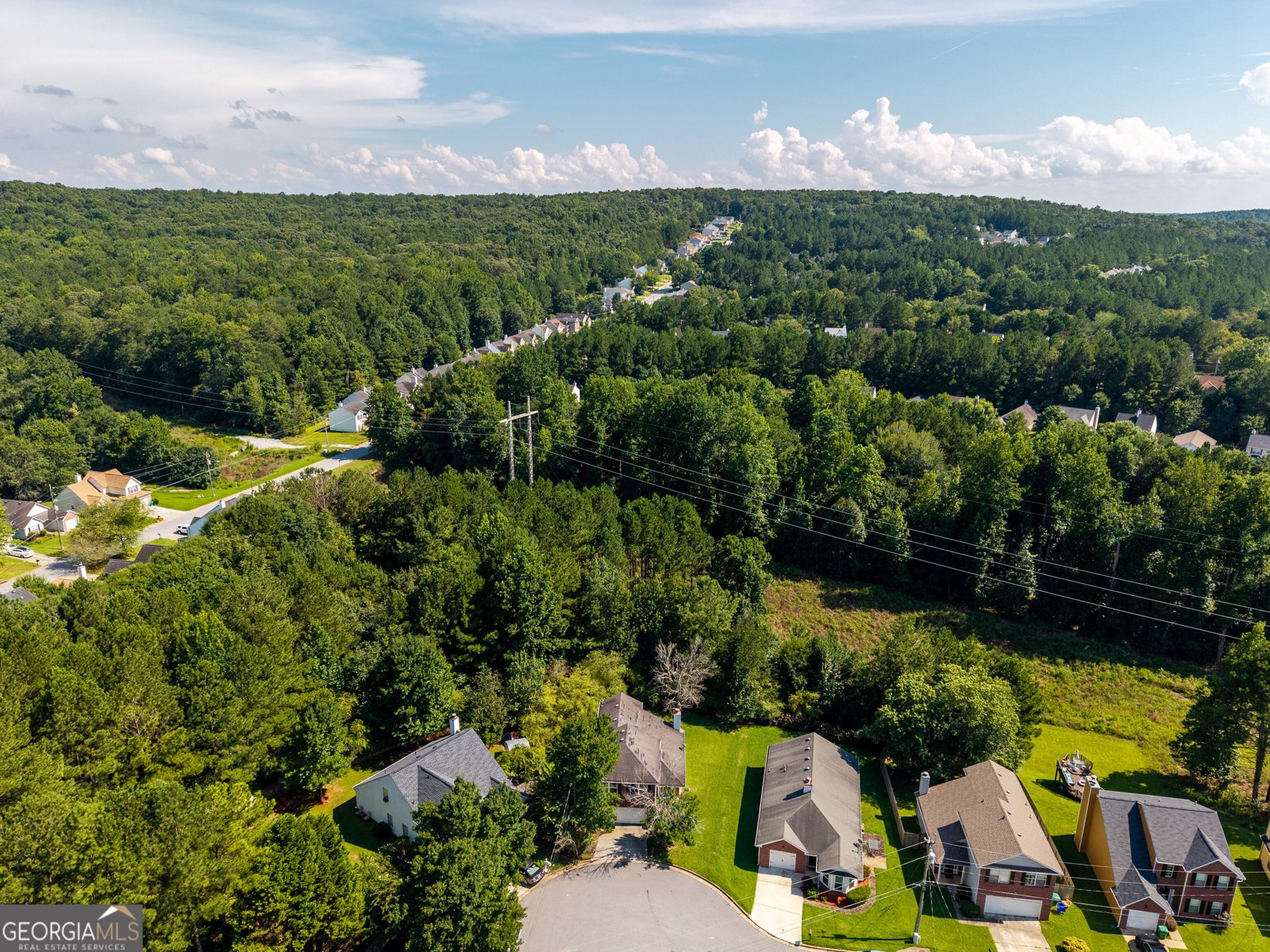 6550 Browns Mill Ferry Drive Lithonia - Photo 29