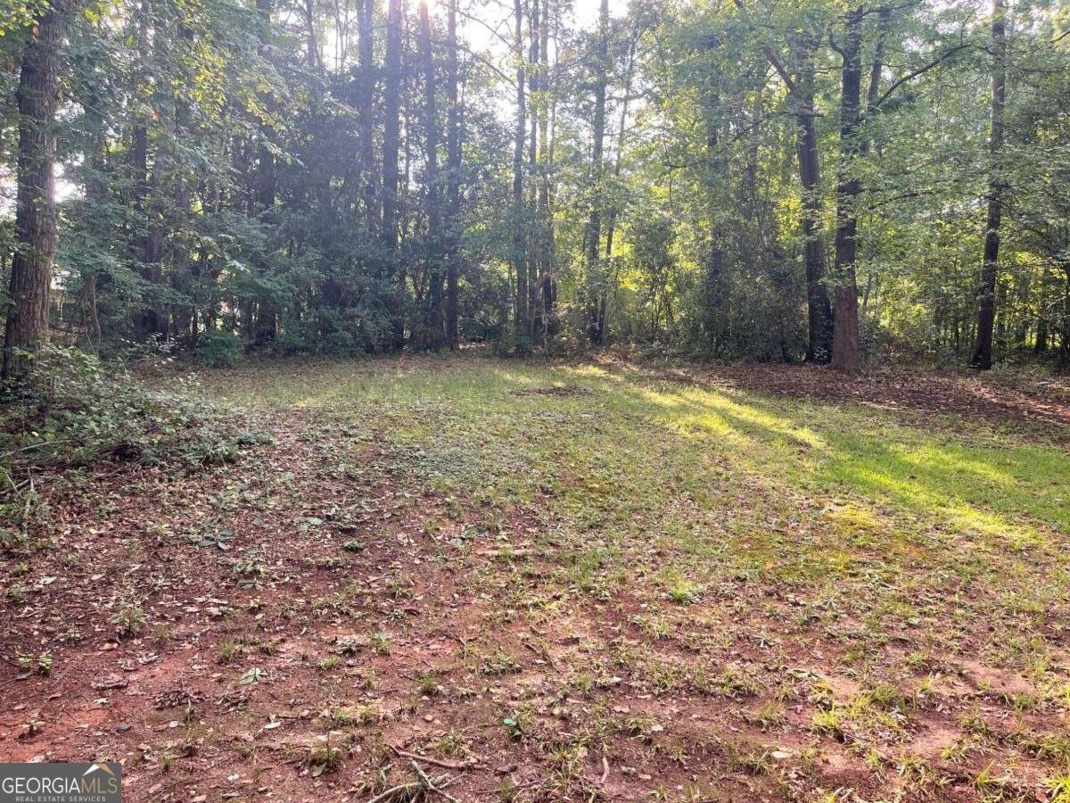 120 Altarstone Drive Athens - Photo 21