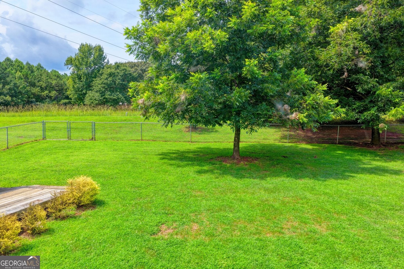 4410 Meadow Trail Cumming - Photo 56