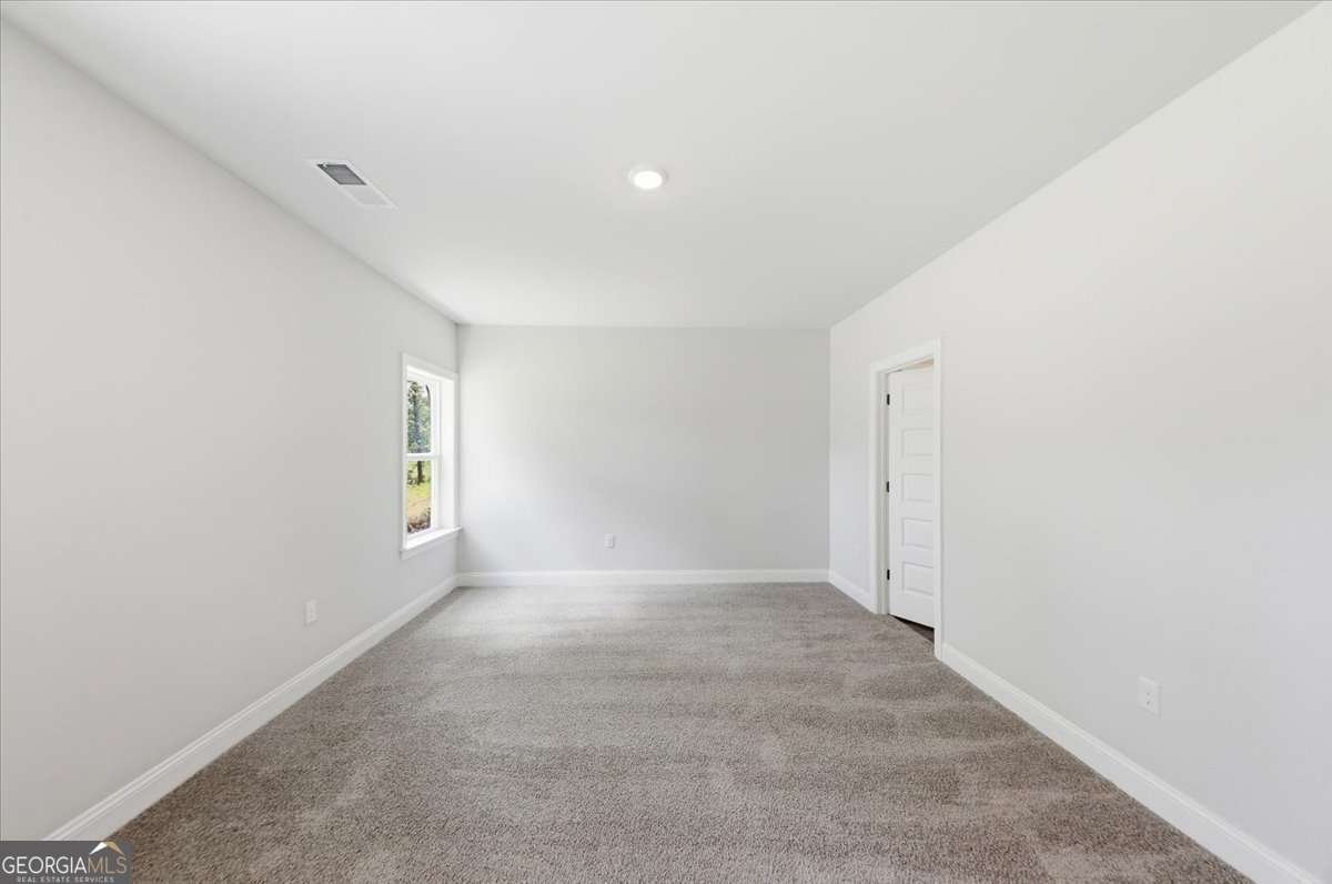 3353 Siena Place Douglasville - Photo 39