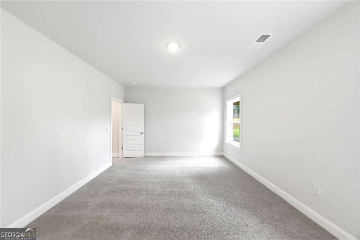 3353 Siena Place Douglasville - Photo 41