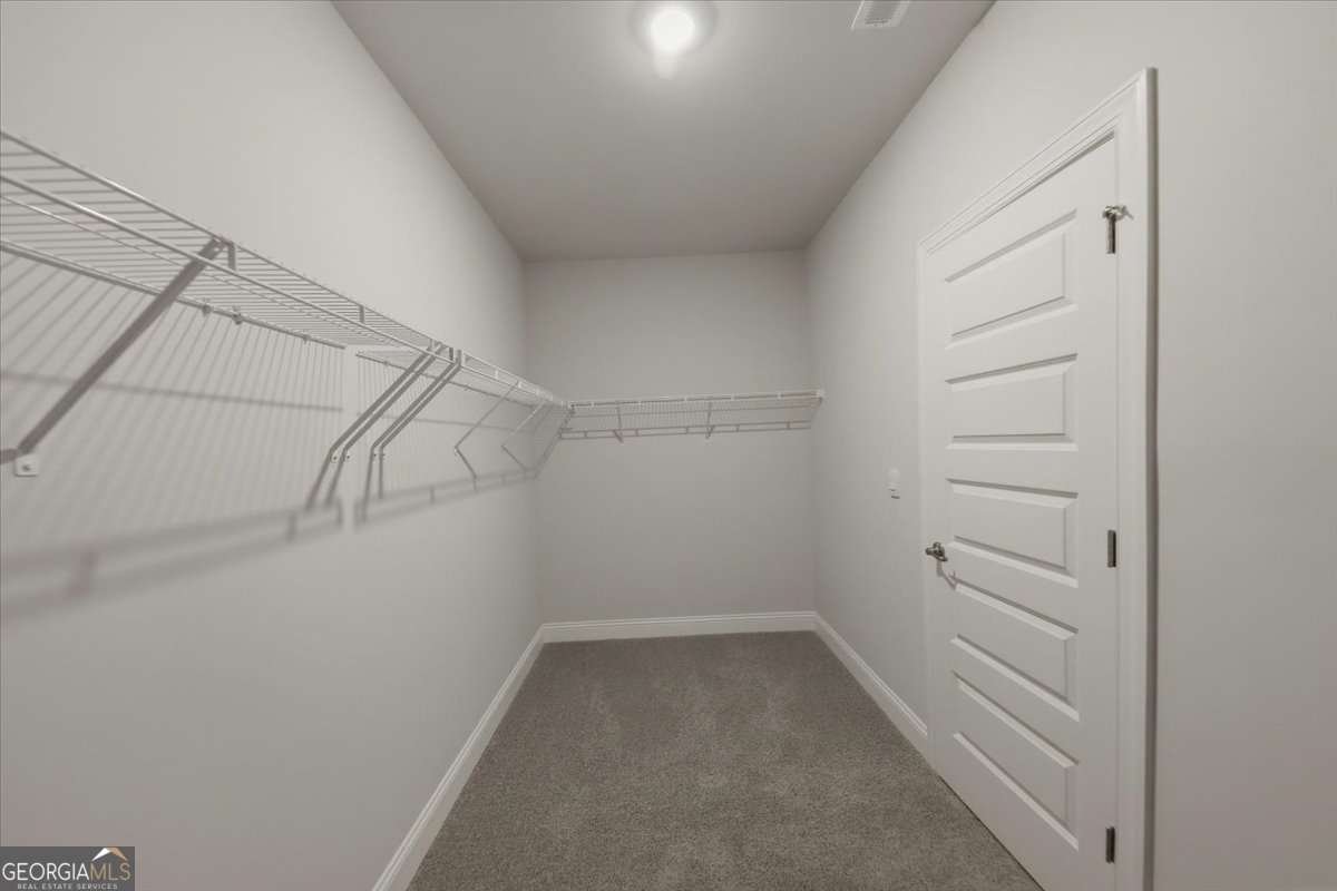 3353 Siena Place Douglasville - Photo 46