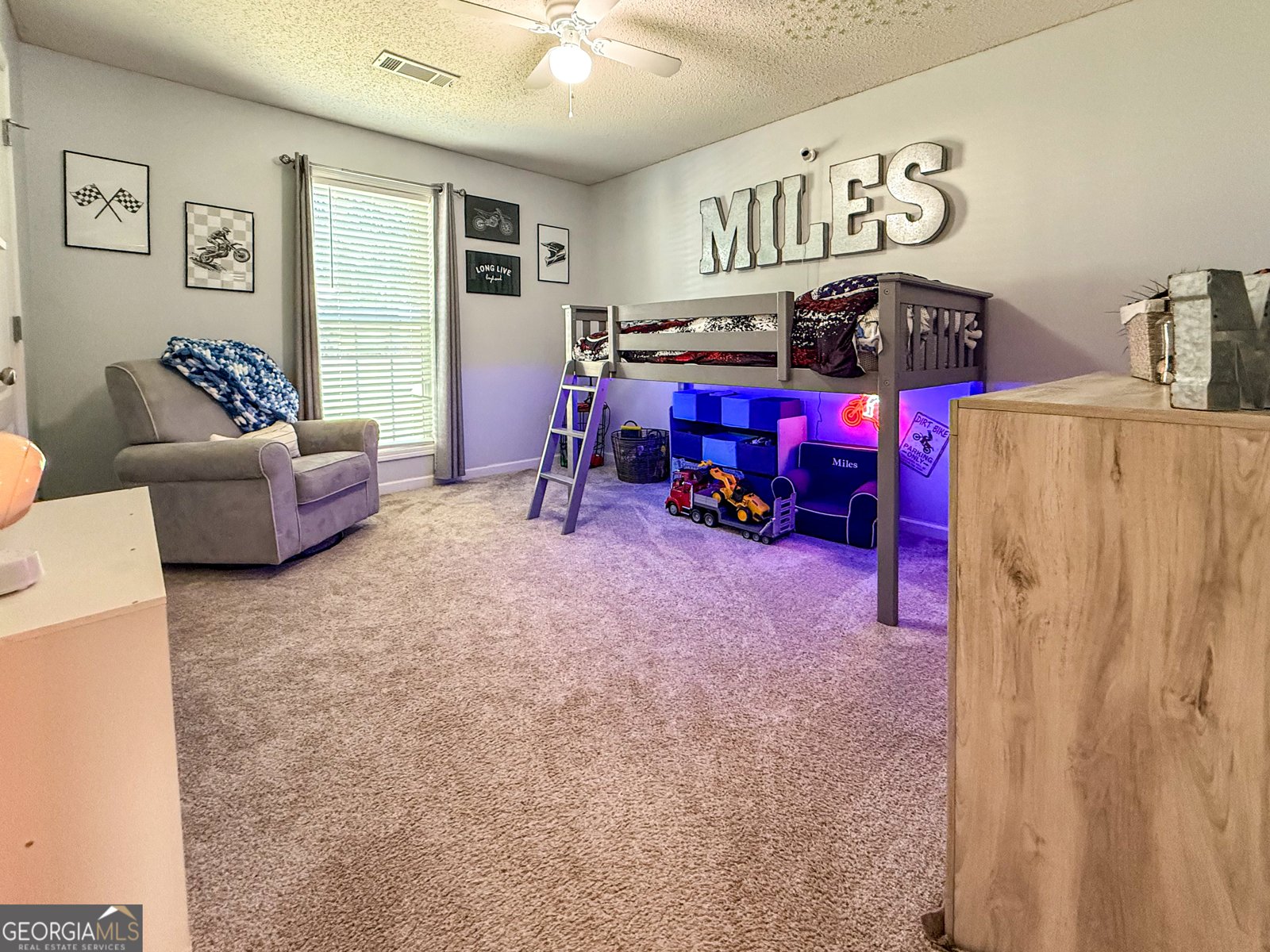 255 River Mist Circle Jefferson - Photo 14