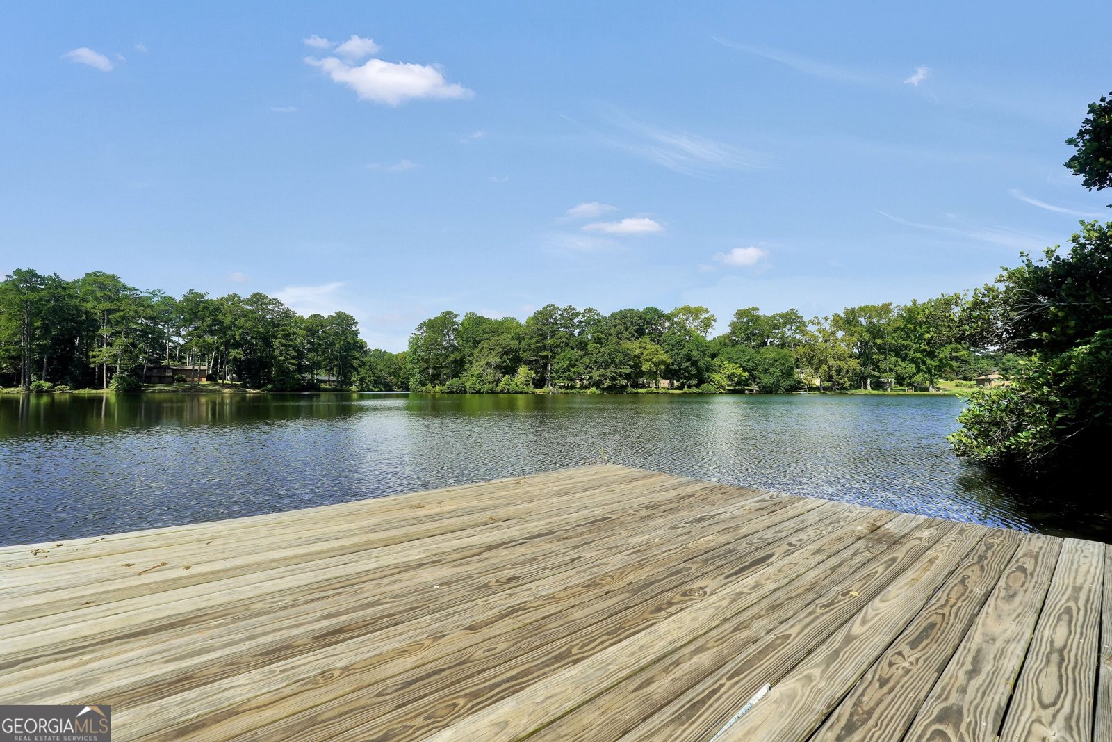 1327 Lakeshore Drive Griffin - Photo 60