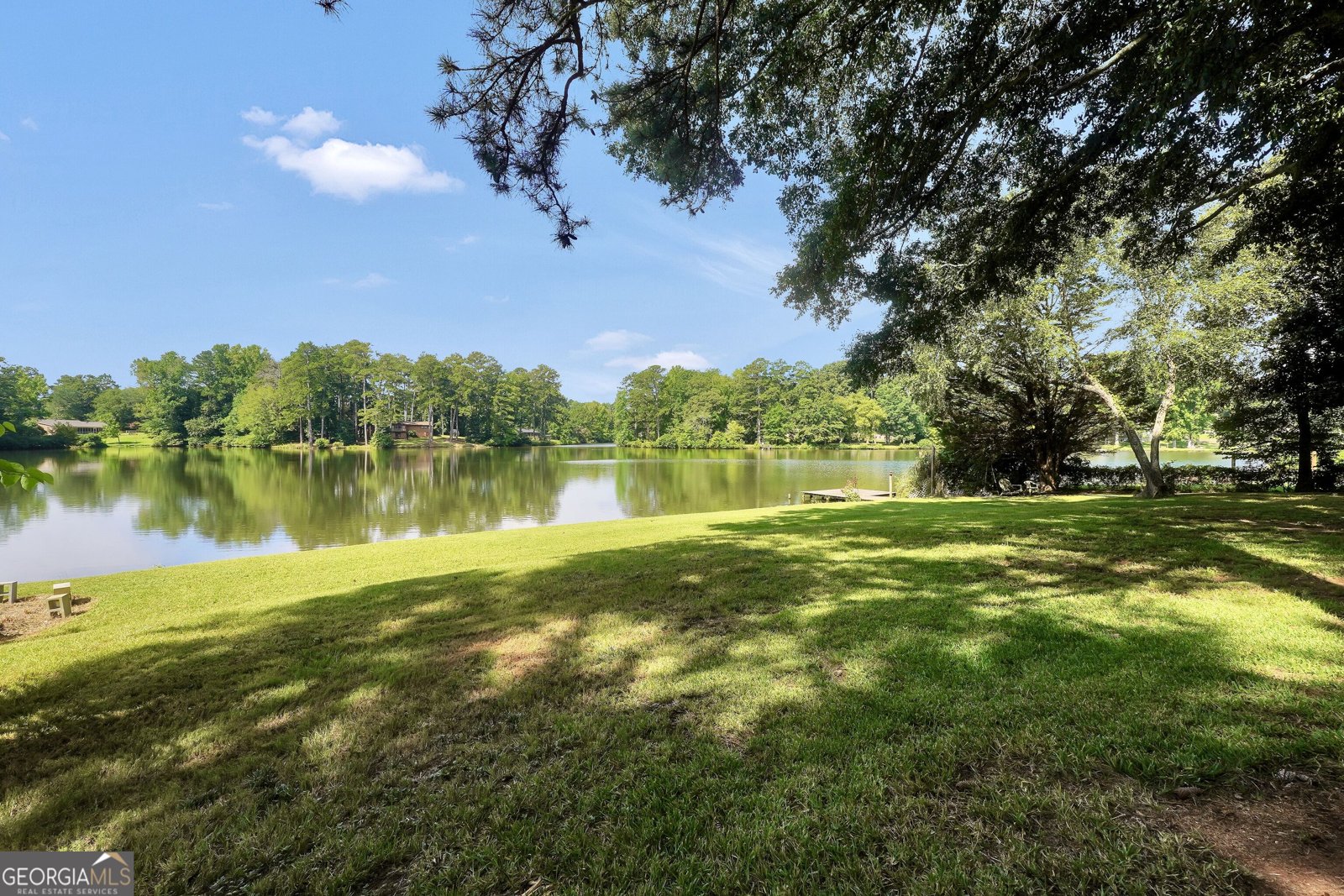 1327 Lakeshore Drive Griffin - Photo 61