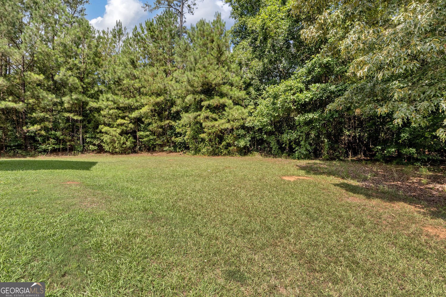 145 Clover Valley Drive Covington - Photo 24