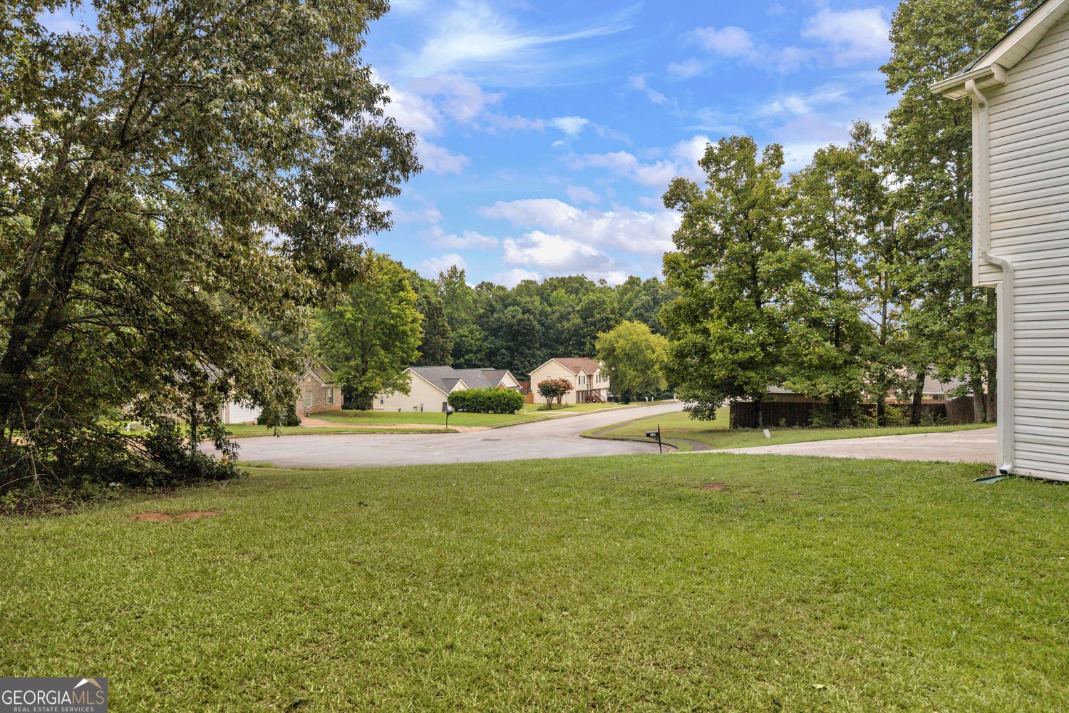 145 Clover Valley Drive Covington - Photo 67