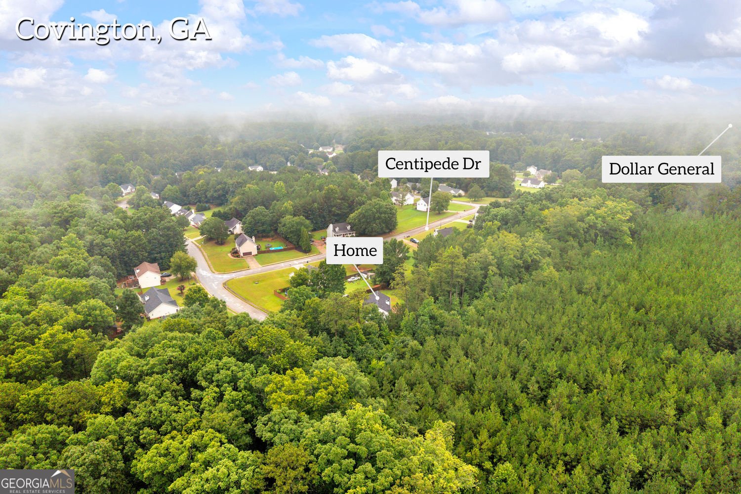 145 Clover Valley Drive Covington - Photo 81