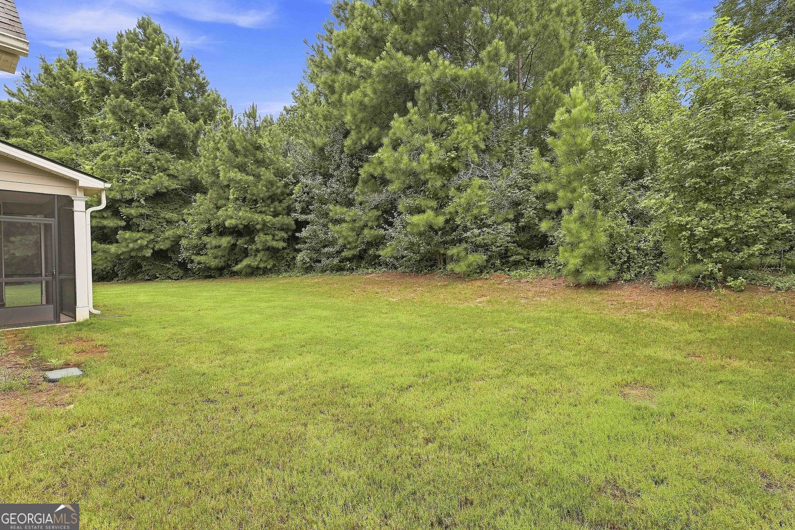 32 Oakhurst Trail Sharpsburg - Photo 41