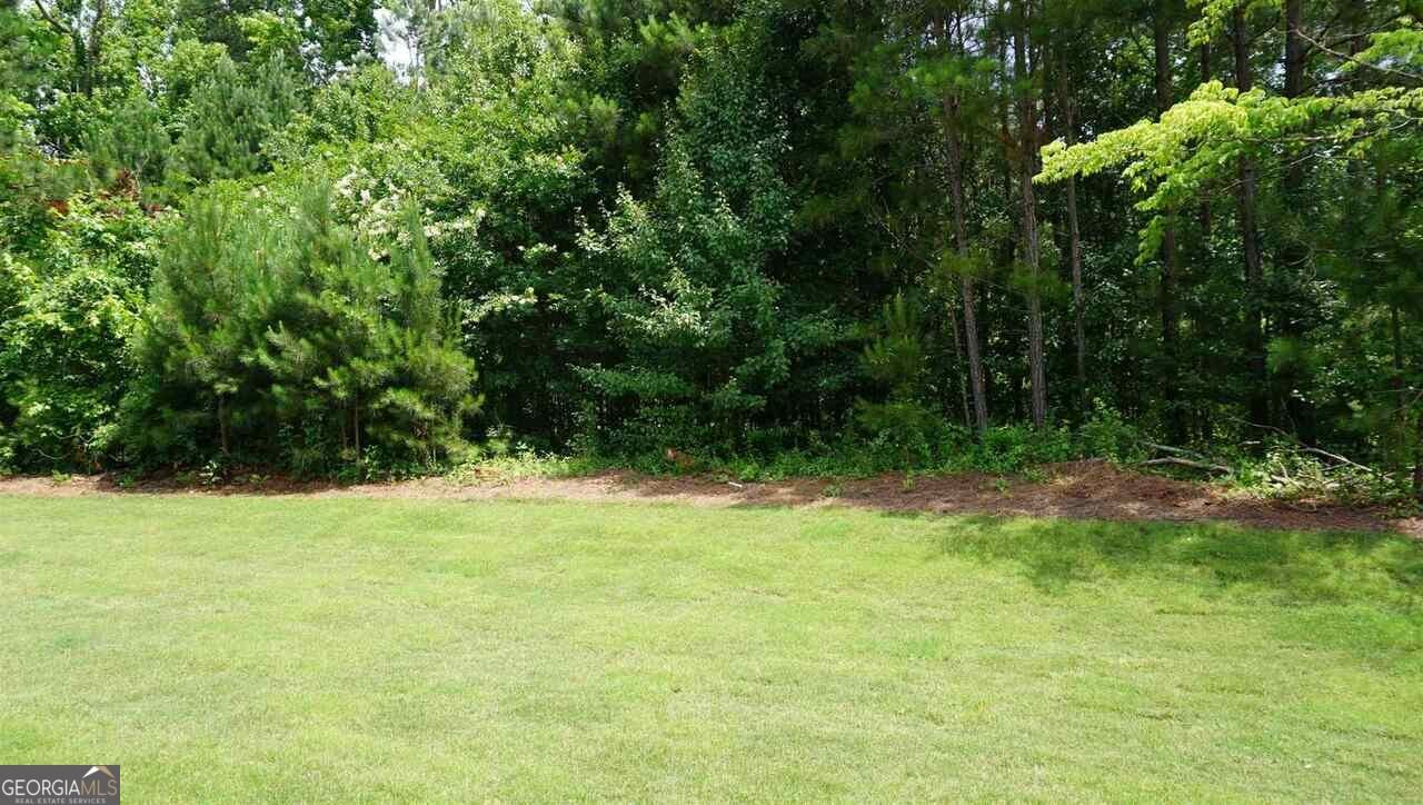 32 Oakhurst Trail Sharpsburg - Photo 55