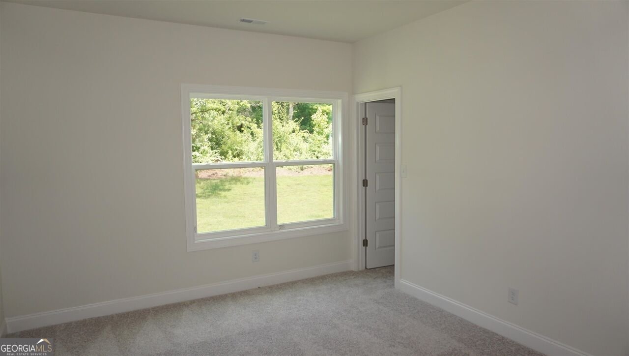 32 Oakhurst Trail Sharpsburg - Photo 56