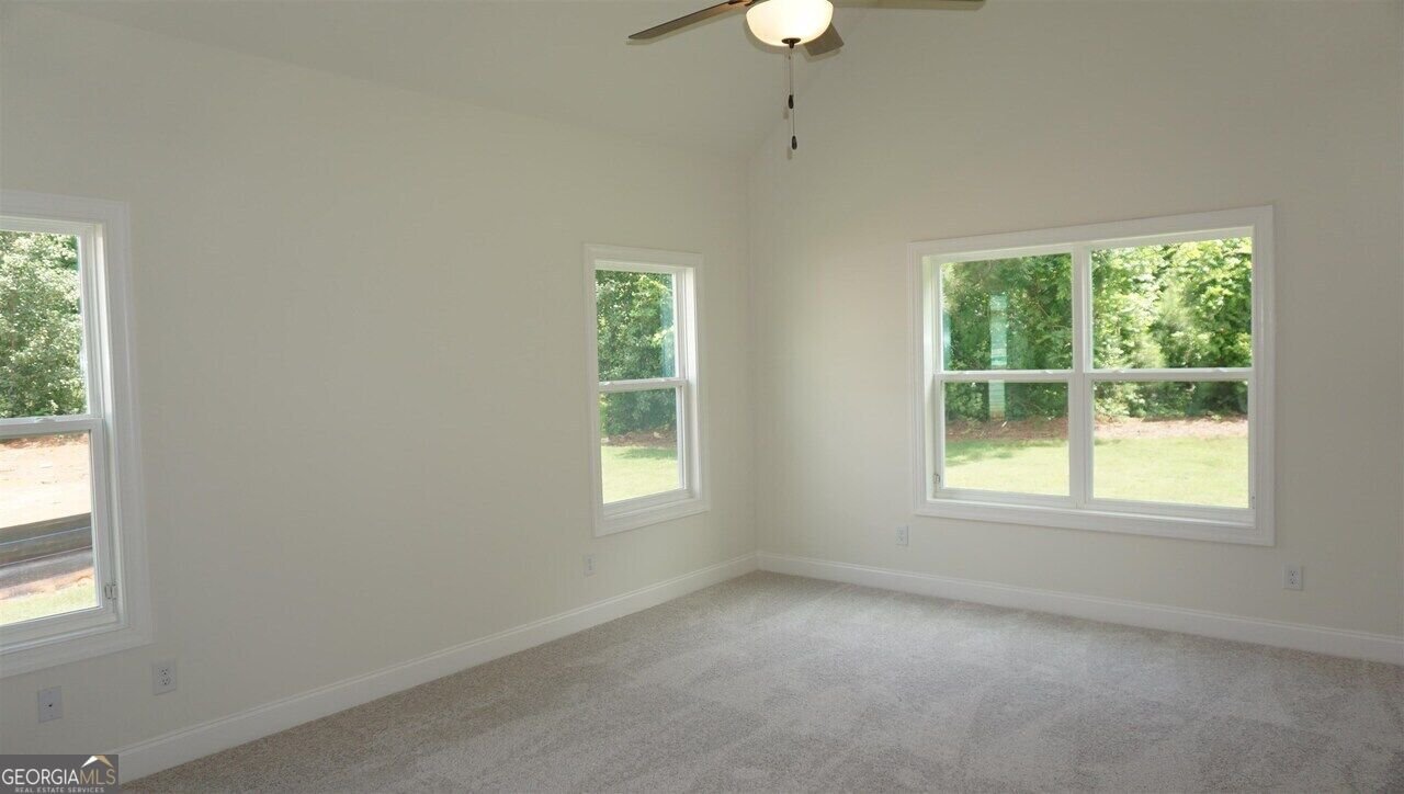 32 Oakhurst Trail Sharpsburg - Photo 62