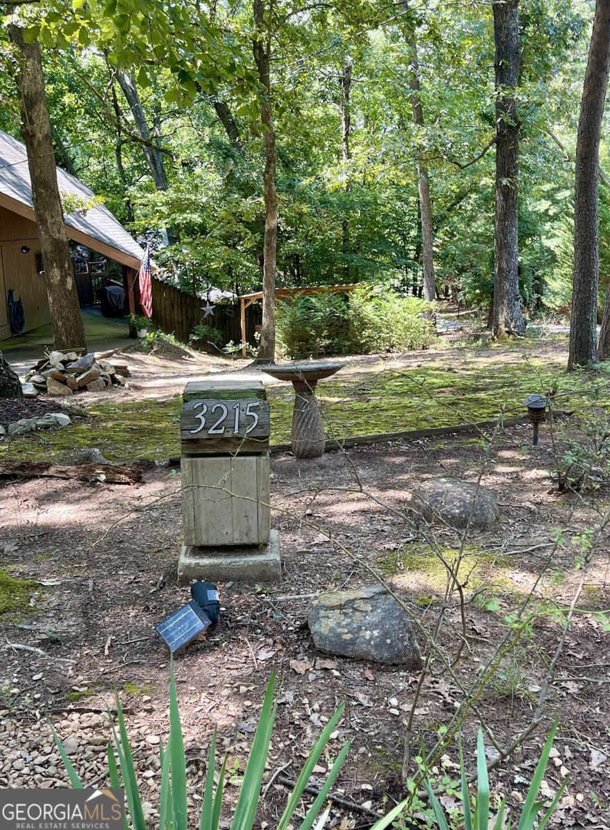 3215 The Trail Road Gainesville - Photo 38