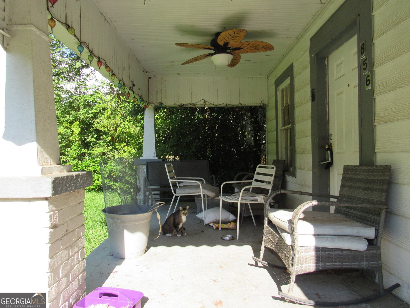 Photo 3