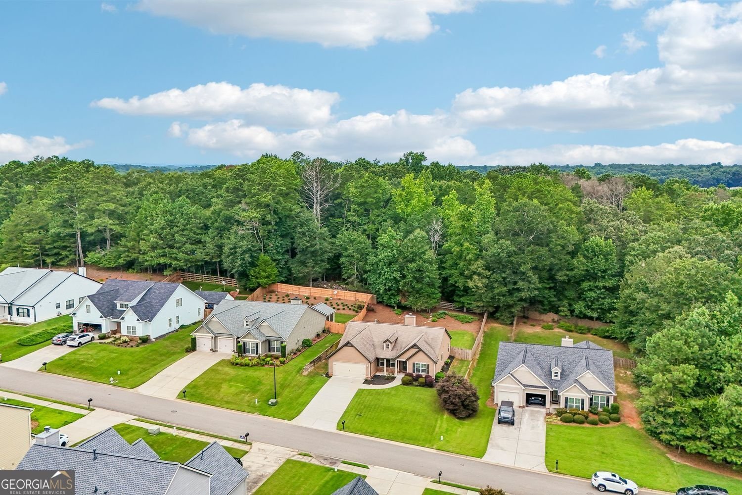 3925 Spring Ridge Drive Cumming - Photo 56
