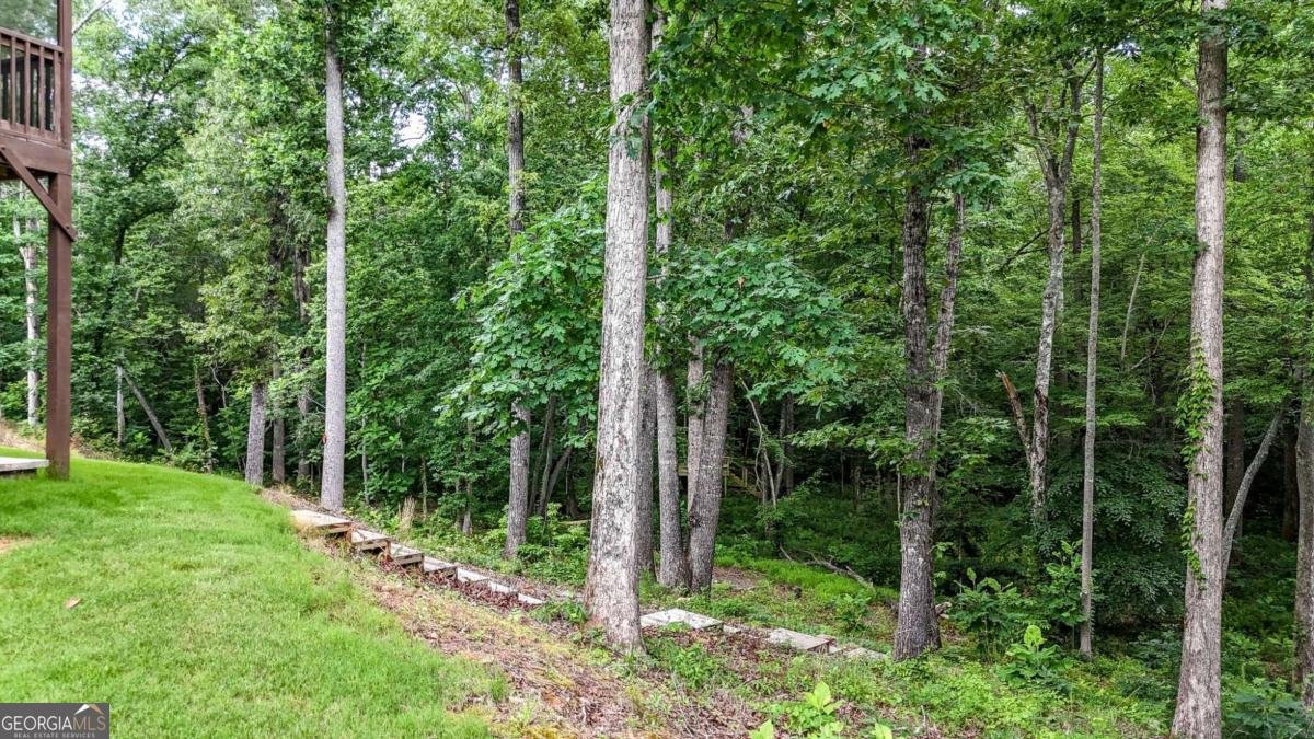 120 Longleaf Drive Canton - Photo 52