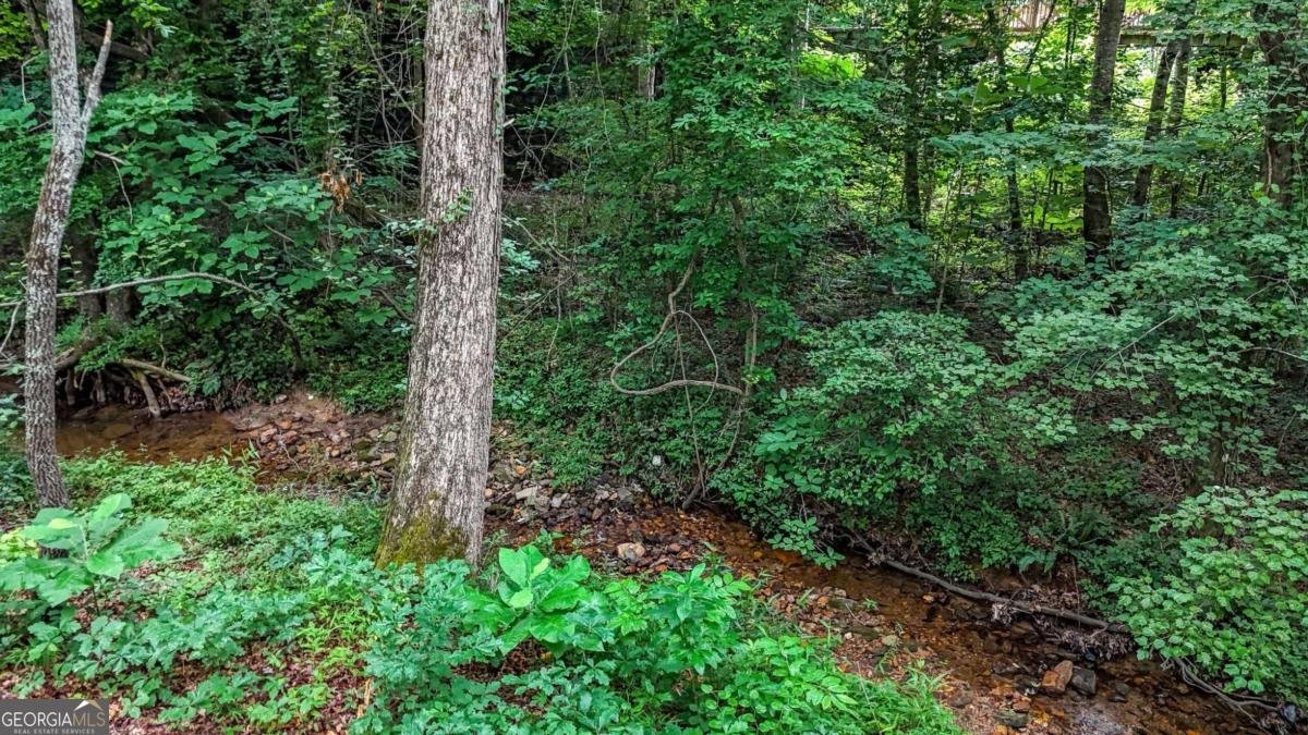 120 Longleaf Drive Canton - Photo 54