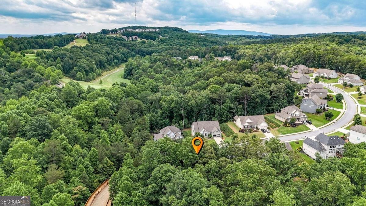 120 Longleaf Drive Canton - Photo 59