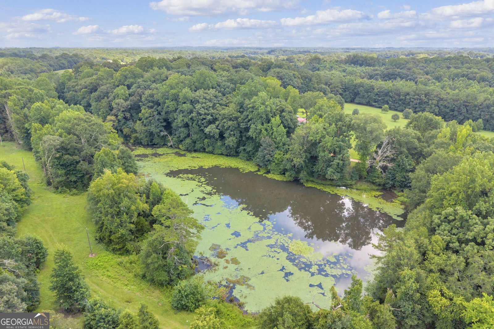 960 Sewell Road Lavonia - Photo 23
