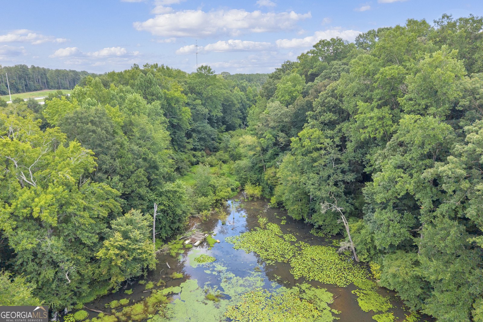 960 Sewell Road Lavonia - Photo 25