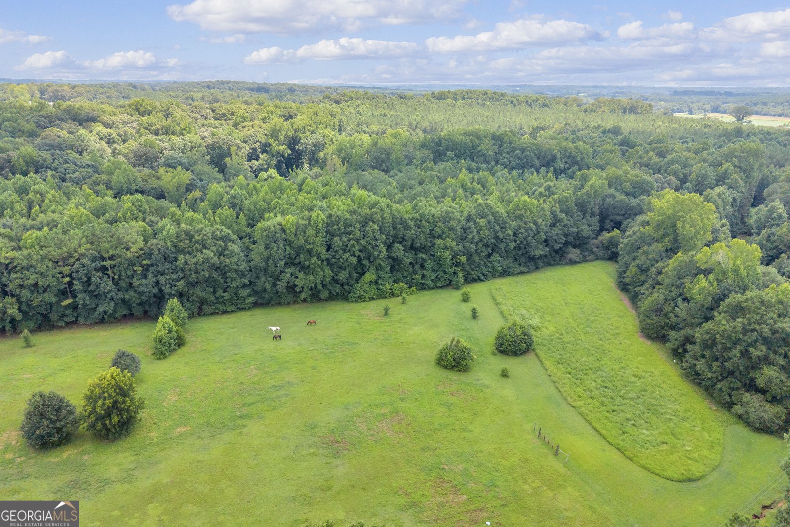 960 Sewell Road Lavonia - Photo 26