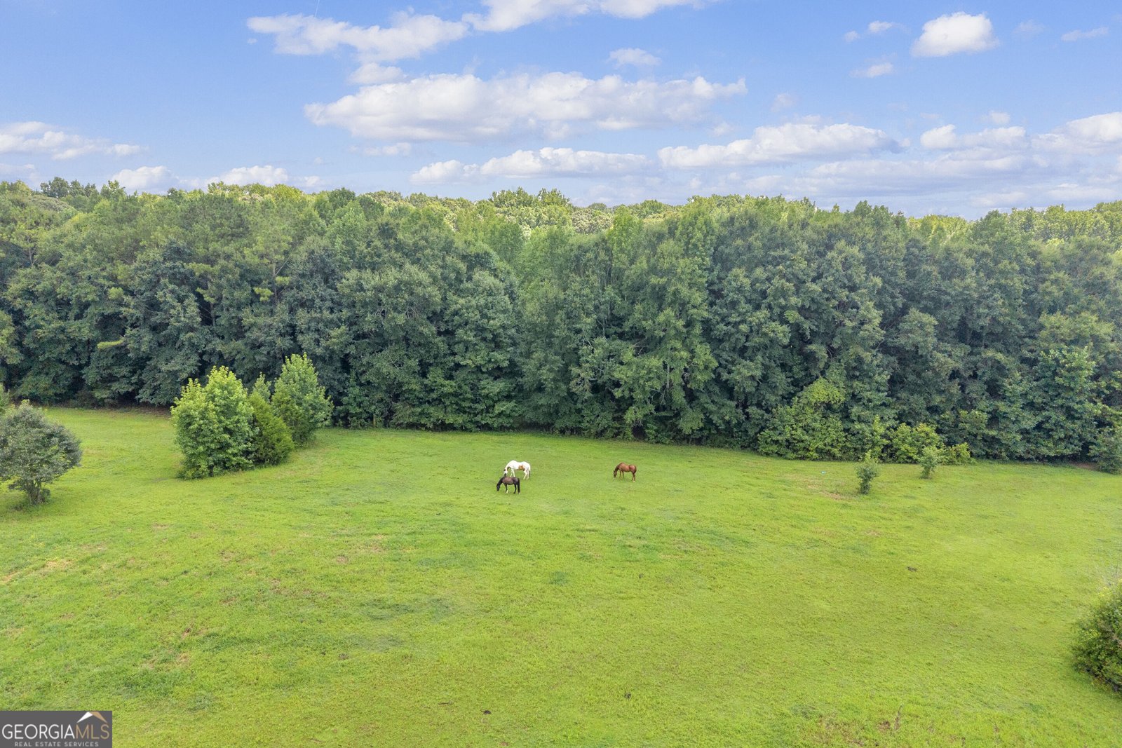 960 Sewell Road Lavonia - Photo 27