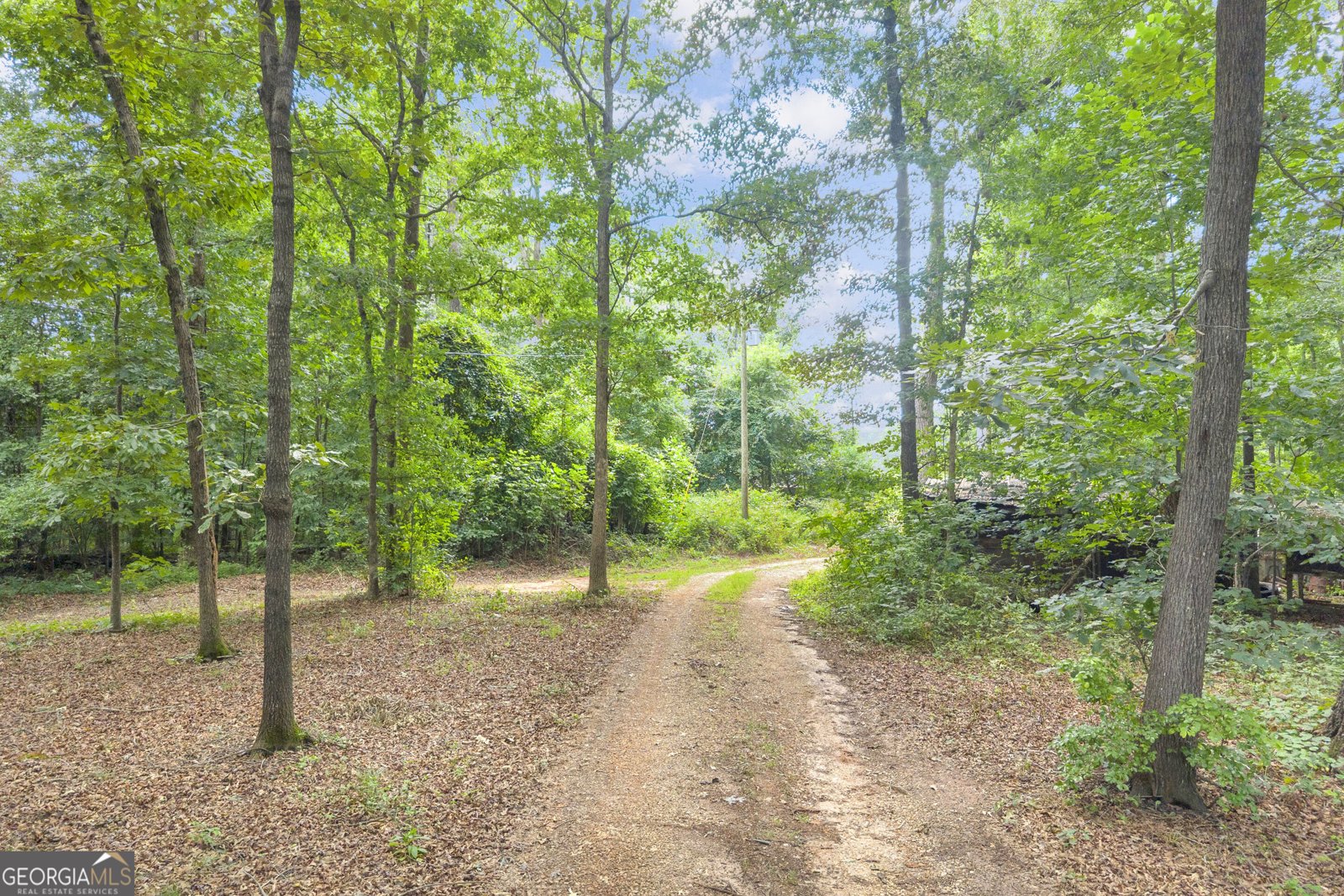 960 Sewell Road Lavonia - Photo 60