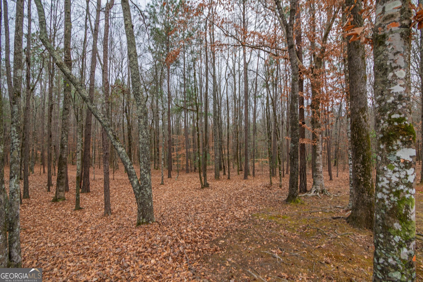 1578 Ga Highway 208 Hamilton - Photo 57
