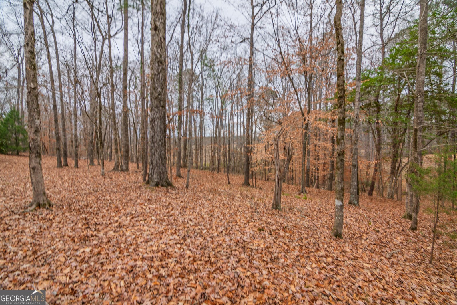 1578 Ga Highway 208 Hamilton - Photo 59