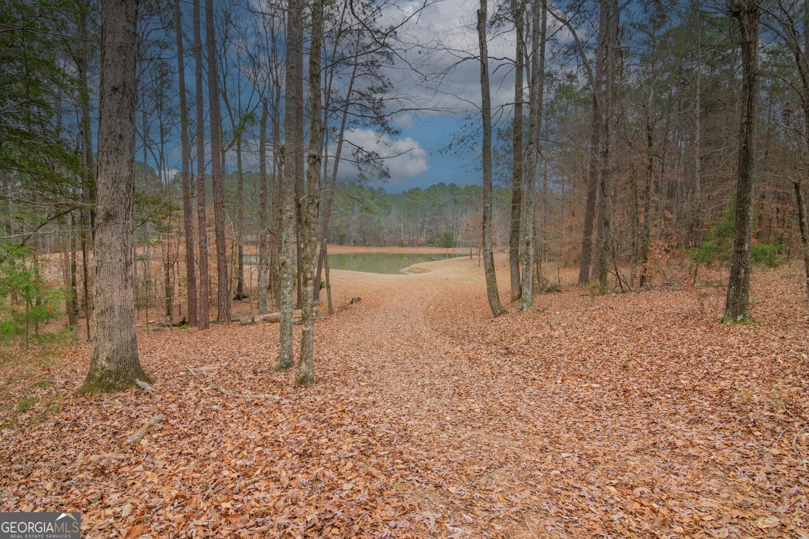 1578 Ga Highway 208 Hamilton - Photo 60