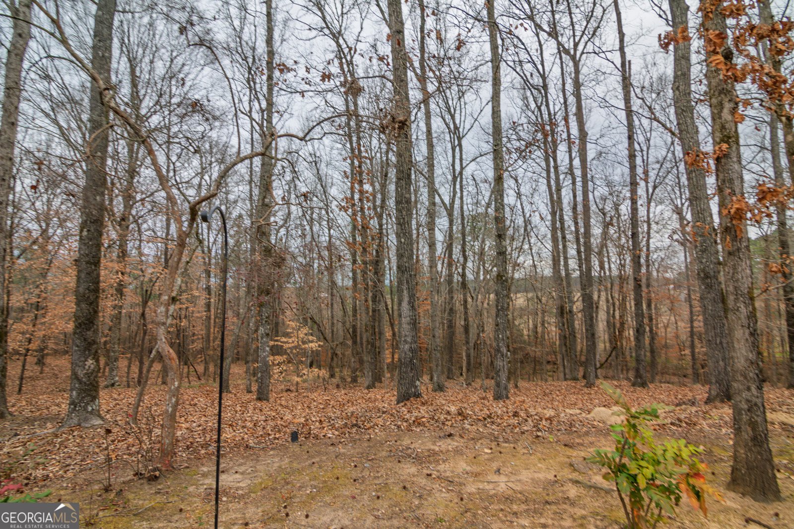 1578 Ga Highway 208 Hamilton - Photo 65