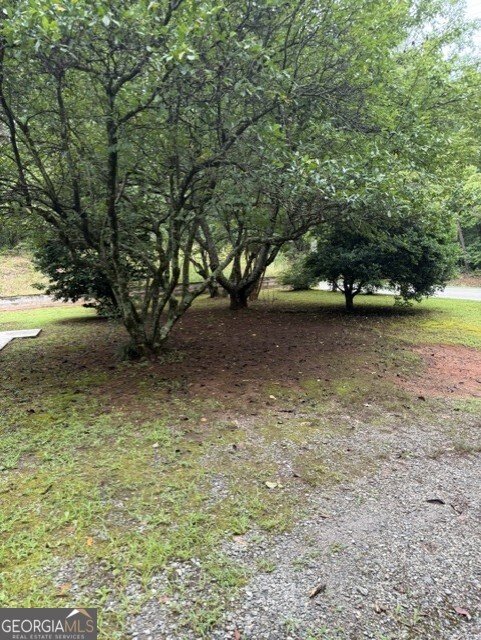 1285 Seven Mile HIll Road Dahlonega - Photo 27