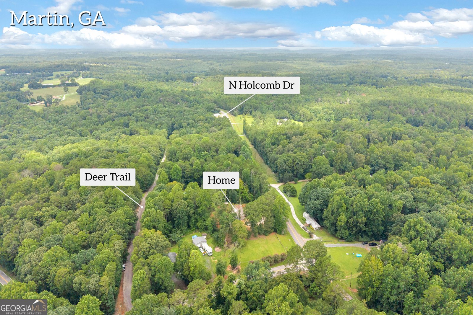 818 Holcomb Drive Martin - Photo 55