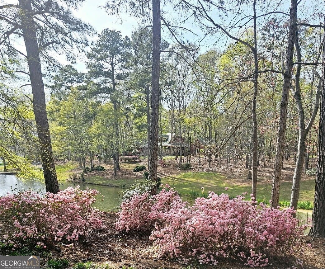 1371 Lipscomb Road Social Circle - Photo 76
