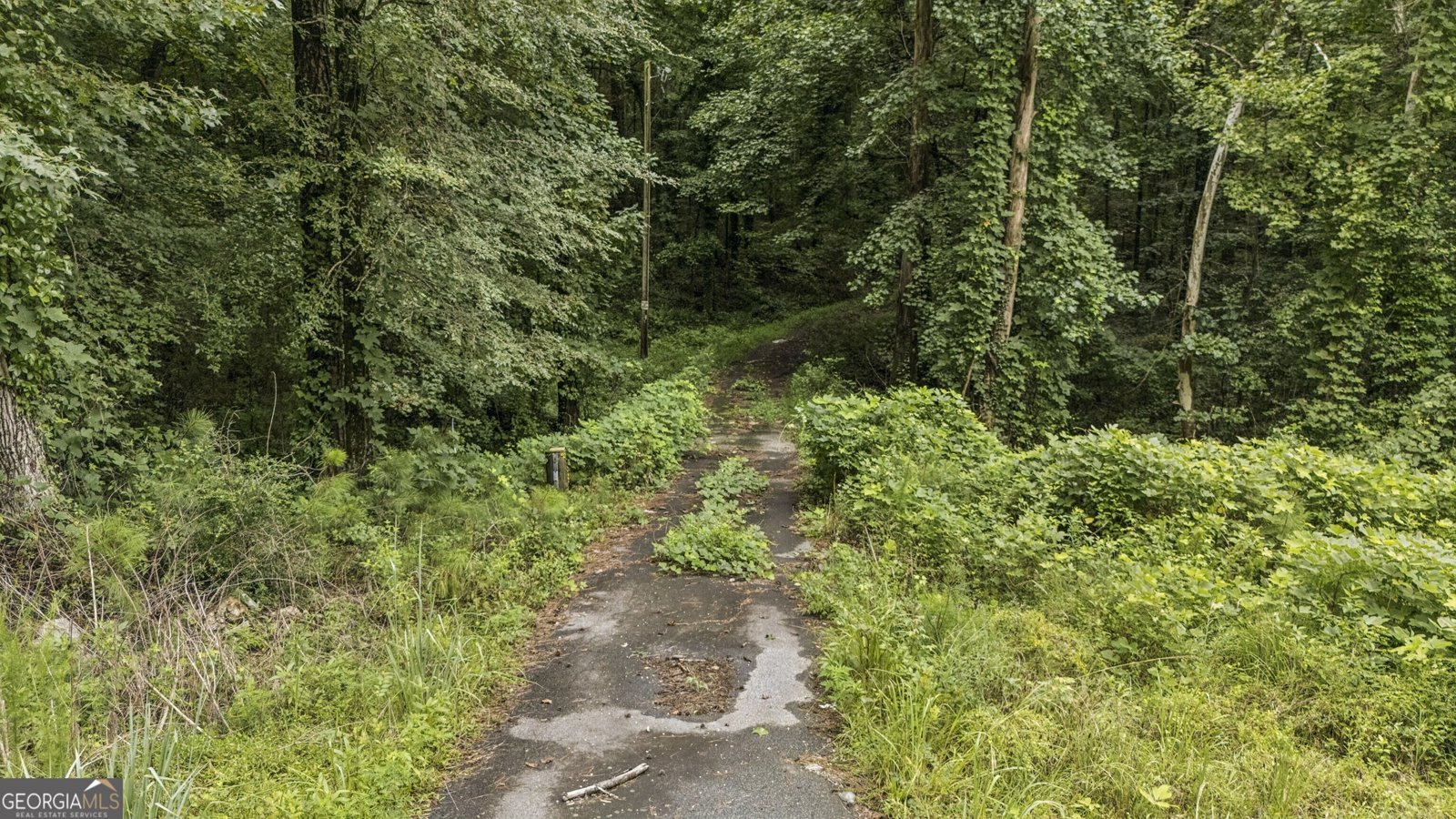 6733 Highway 155 Stockbridge - Photo 12