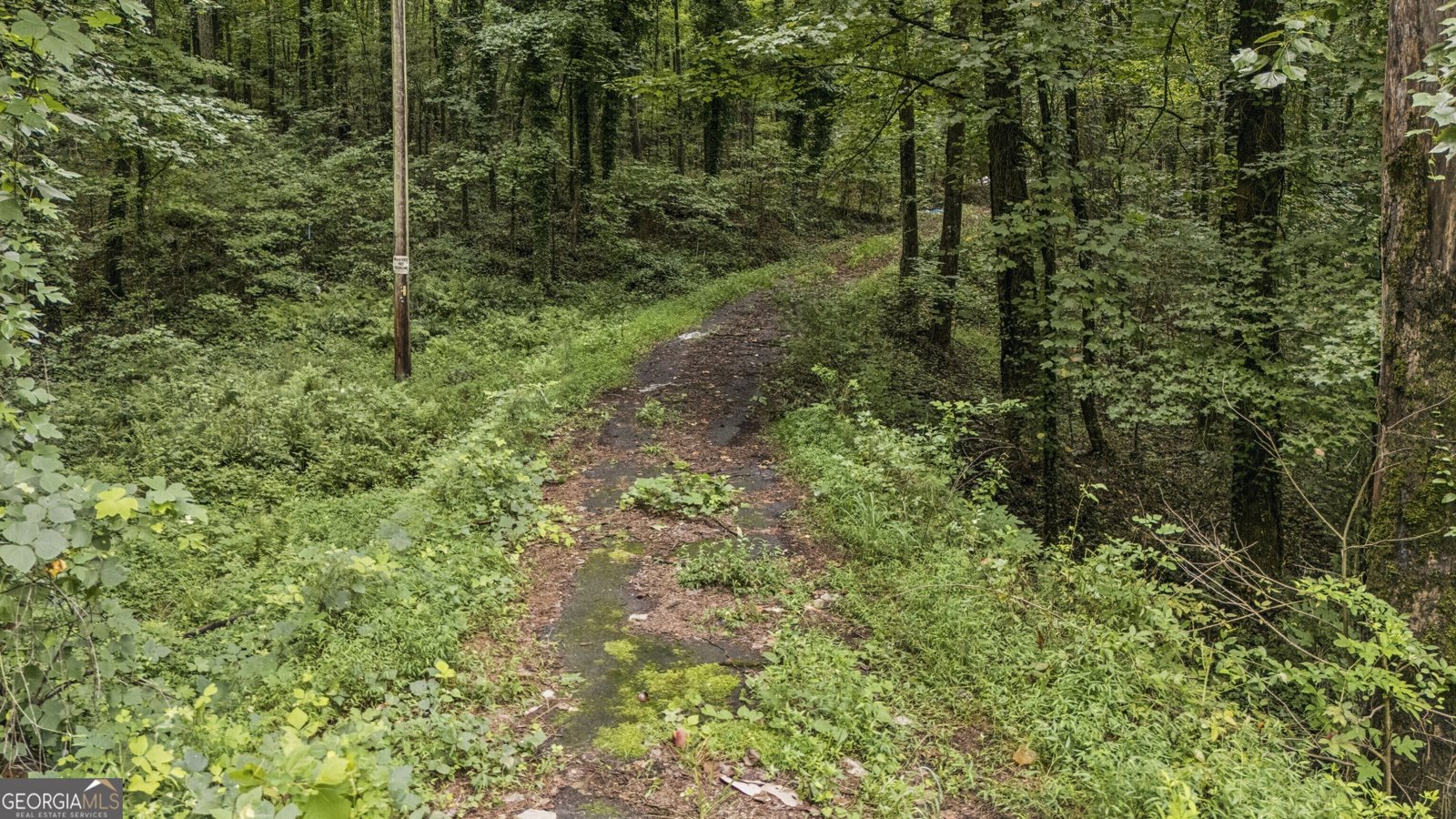 6733 Highway 155 Stockbridge - Photo 13