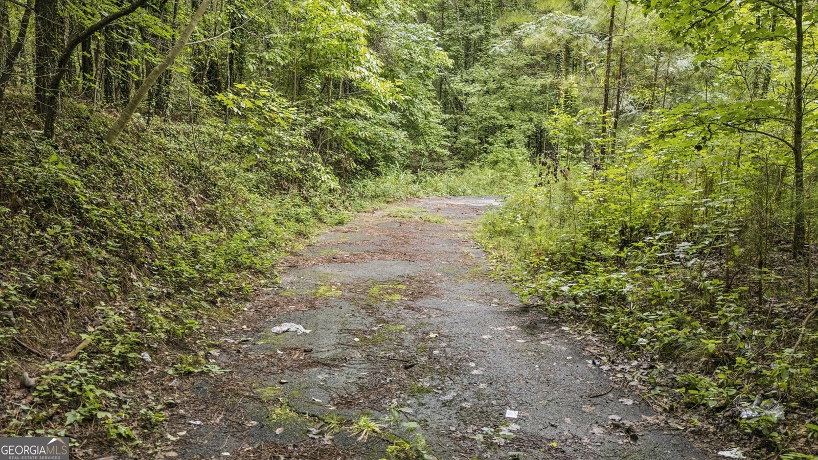6733 Highway 155 Stockbridge - Photo 14