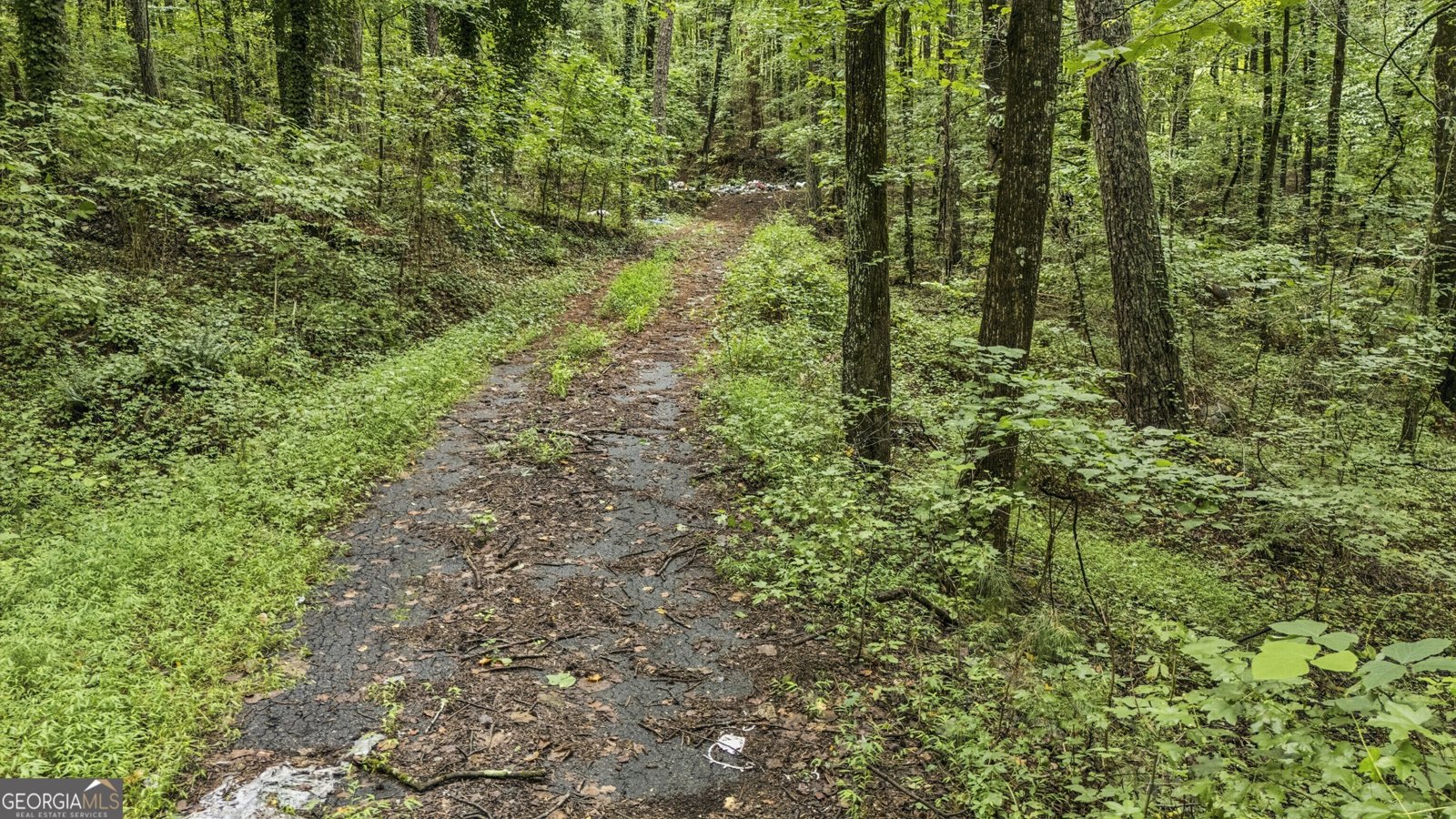 6733 Highway 155 Stockbridge - Photo 15