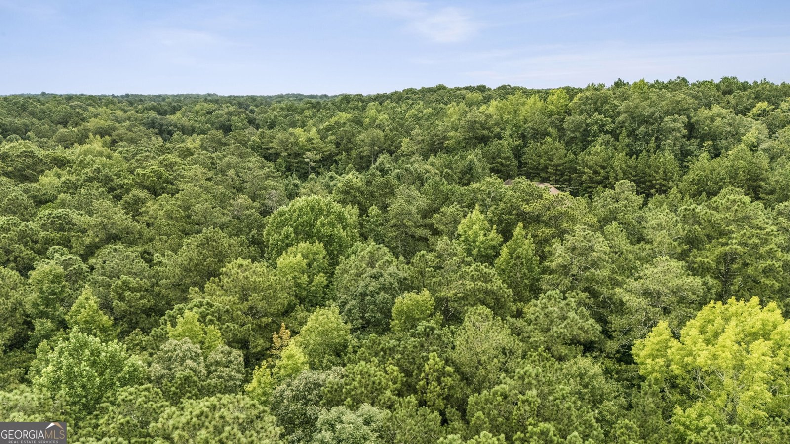 6733 Highway 155 Stockbridge - Photo 16