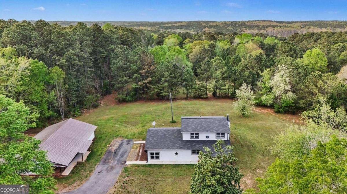 2955 Peeksville Road Locust Grove - Photo 46