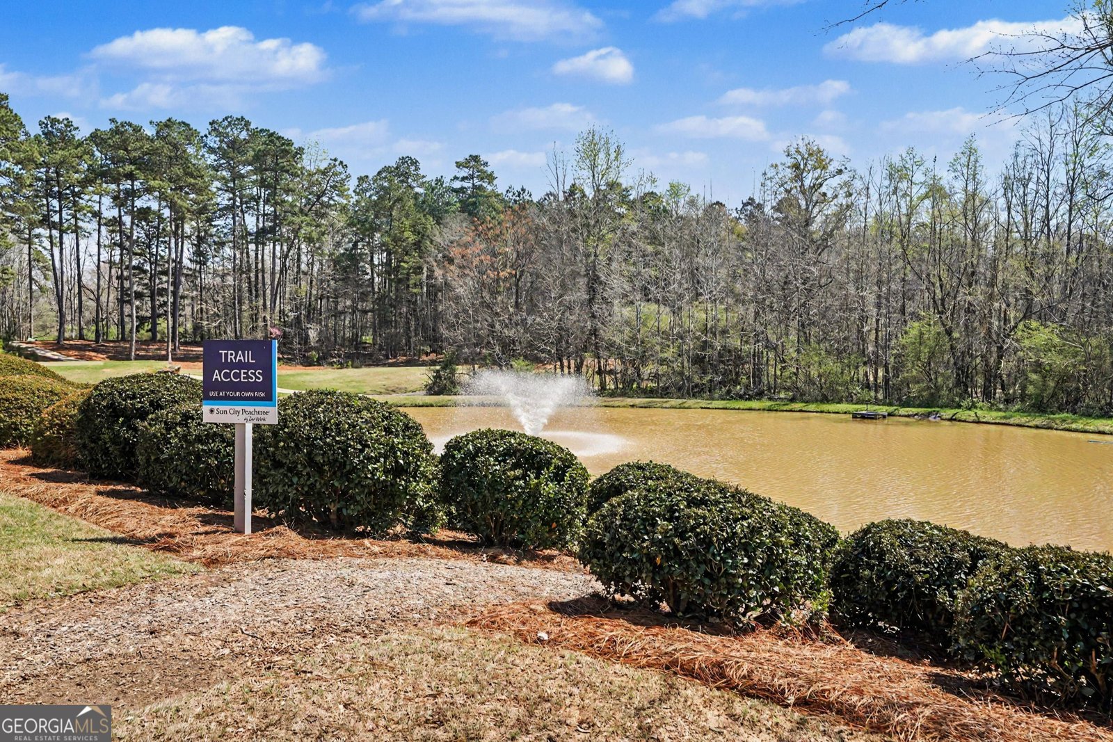 407 Chestatee Court Griffin - Photo 34