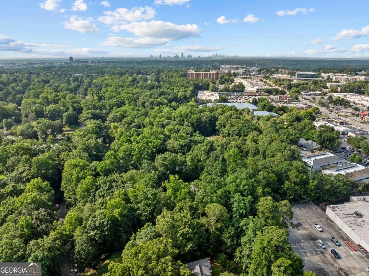 6488 Cherry Tree Lane Sandy Springs - Photo 93