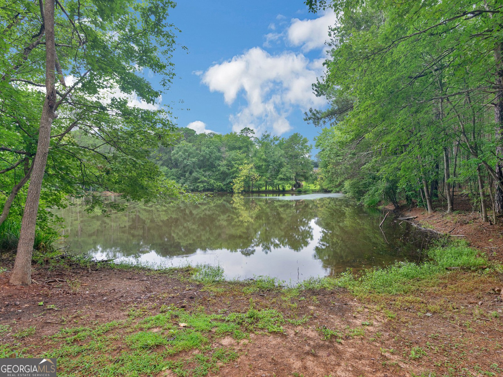 50 Ridge Pointe Stockbridge - Photo 37